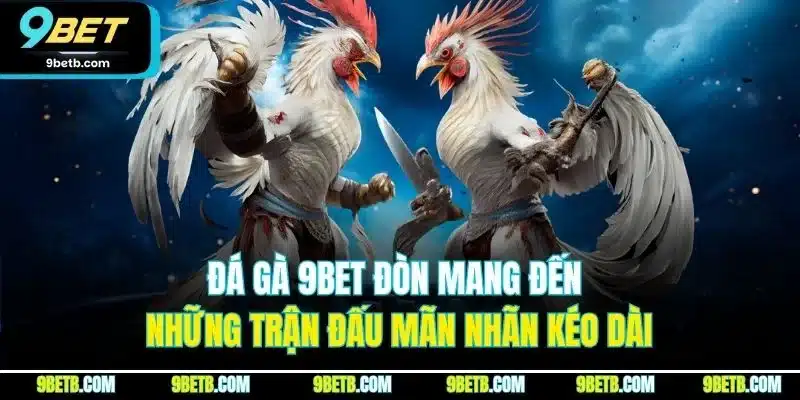 Đá gà 9BET đòn mang đến những trận đấu mãn nhãn kéo dài