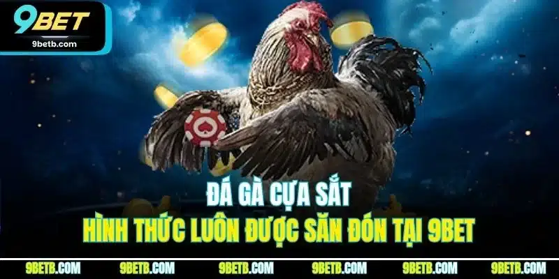 Đá Gà Cựa Sắt - Hình Thức Luôn Được Săn Đón Tại 9BET 1 Đá Gà Cựa Sắt - Hình Thức Luôn Được Săn Đón Tại 9BET