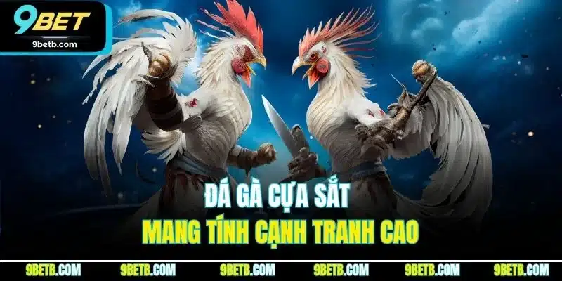 Đá Gà Cựa Sắt - Hình Thức Luôn Được Săn Đón Tại 9BET 5 Đá gà cựa sắt mang tính cạnh tranh cao