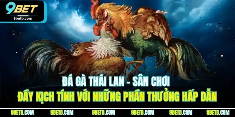 Đá Gà Thái Lan - Trải Nghiệm Cược Đầy Kịch Tính Tại 9BET 2 Đá gà Thái Lan - Sân chơi đầy kịch tính với những phần thưởng hấp dẫn