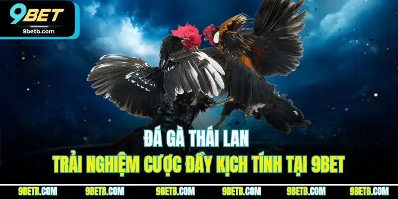 Đá Gà Thái Lan - Trải Nghiệm Cược Đầy Kịch Tính Tại 9BET 1 Đá Gà Thái Lan - Trải Nghiệm Cược Đầy Kịch Tính Tại 9BET