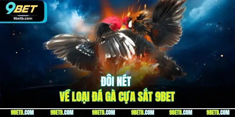 Đá Gà Cựa Sắt - Hình Thức Luôn Được Săn Đón Tại 9BET 2 Đôi nét về loại đá gà cựa sắt 9BET