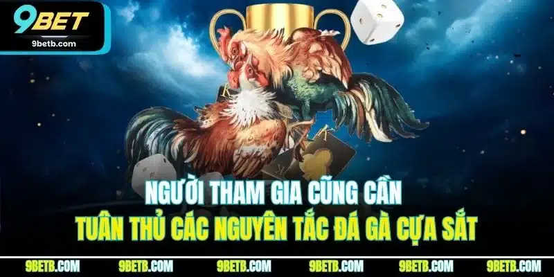 Đá Gà Cựa Sắt - Hình Thức Luôn Được Săn Đón Tại 9BET 4 Người tham gia cũng cần tuân thủ các nguyên tắc đá gà cựa sắt